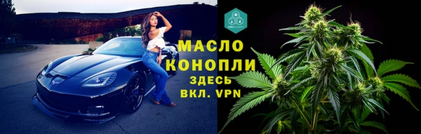 гашик Ладушкин