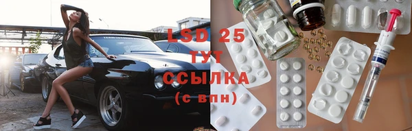 гашик Ладушкин