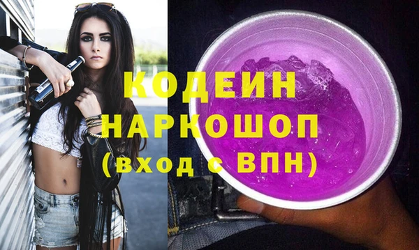 гашик Ладушкин