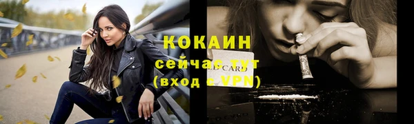 гашик Ладушкин