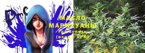 гашик Ладушкин