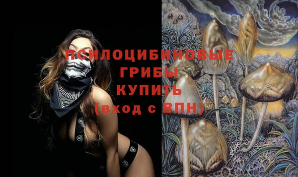 метадон Лагань