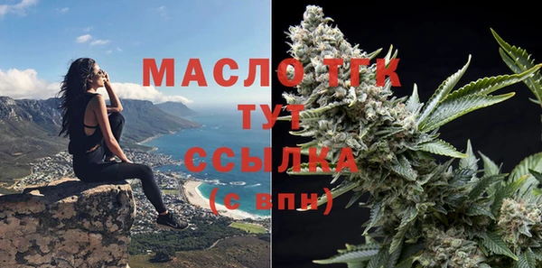 гашик Ладушкин