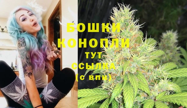 метадон Лагань