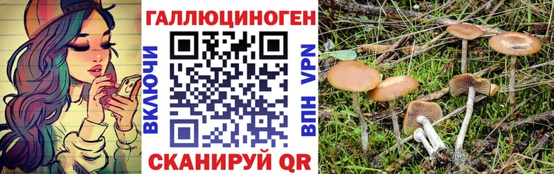 shop какой сайт  кракен ссылки  Елизаветинская  Псилоцибиновые грибы Magic Shrooms 
